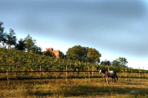 Willa La Cascina Del Castello Asti Zewnętrze zdjęcie
