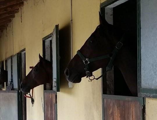 Willa La Cascina Del Castello Asti Zewnętrze zdjęcie